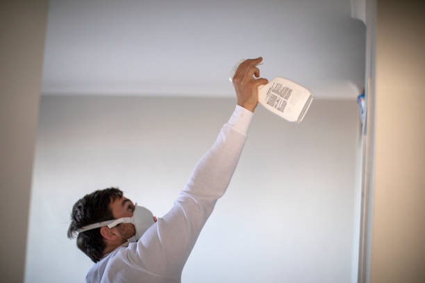 Best Mold Remediation  in Utica, SC