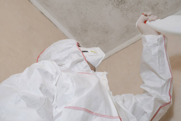 Best Mold Testing and Removal  in Utica, SC